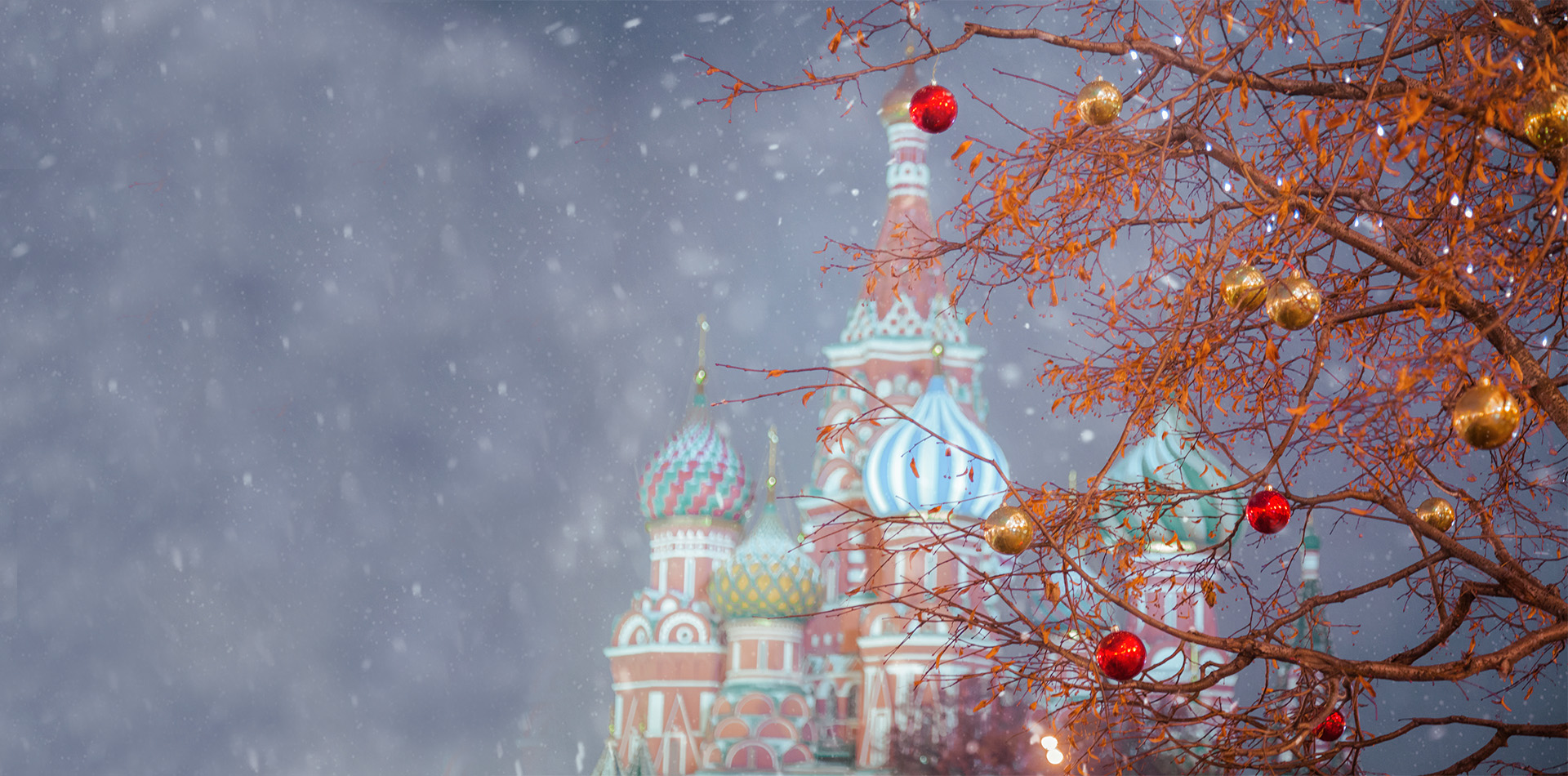 Moscow Christmas Tour