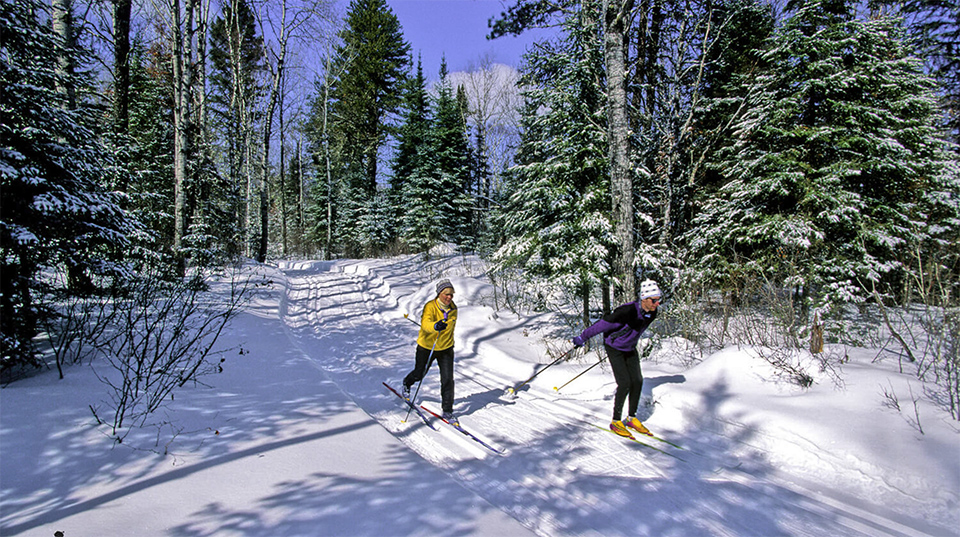 Skiing in taiga