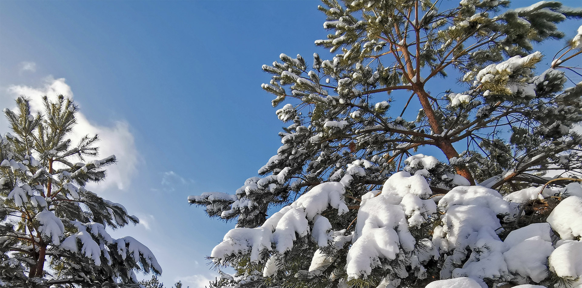 snowmobile trip in Karelia